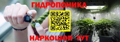 сатива Краснодар