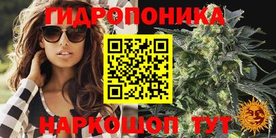 прущие крисы Краснознаменск