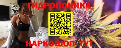 сатива Краснодар