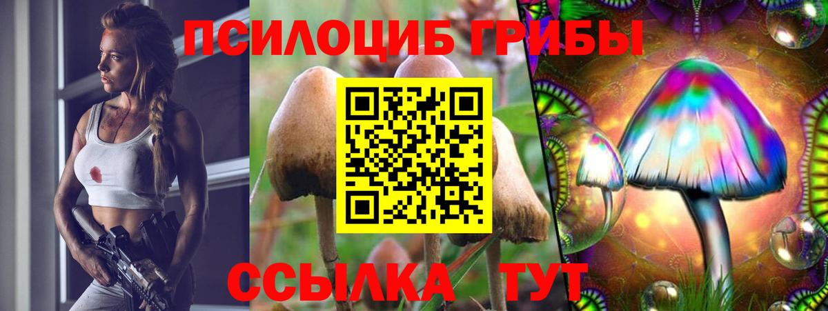 купить   Псилоцибиновые грибы прущие грибы  Калуга  Вход с VPN  Псилоцибиновые грибы MAGIC MUSHROOMS 